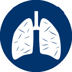 Asbestos awareness for architects and designers